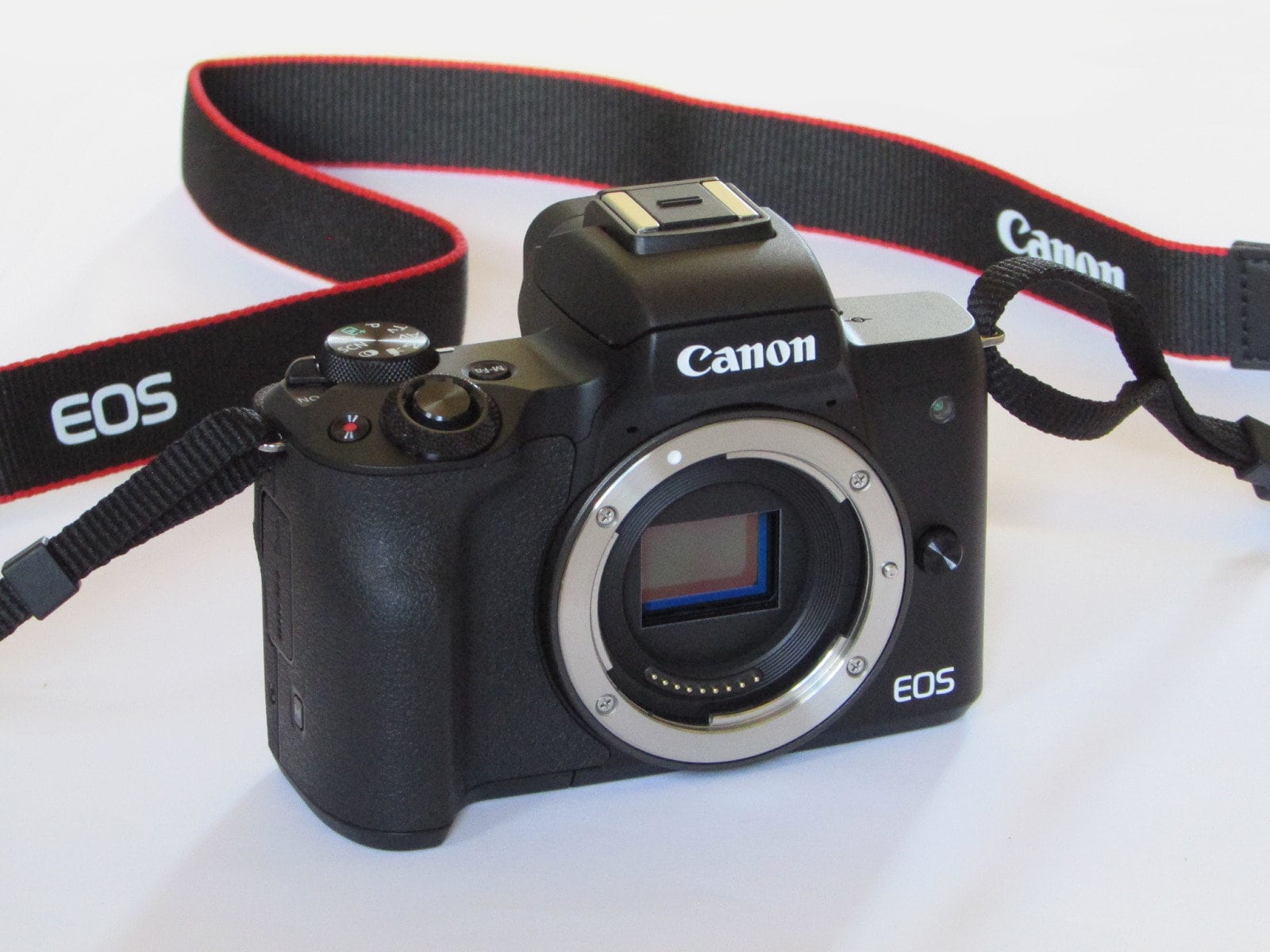 What Lens Fits Canon M50? 2024 Buyers Guide