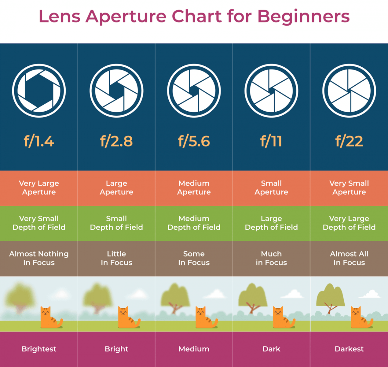 How To Choose A Camera Lens Buying Guide 2025 How To Choose A Camera Lens Buying Guide 2025