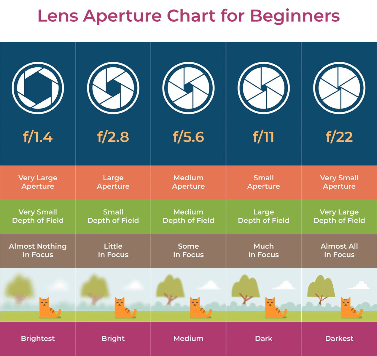 How To Choose a Camera Lens Buying Guide 2024