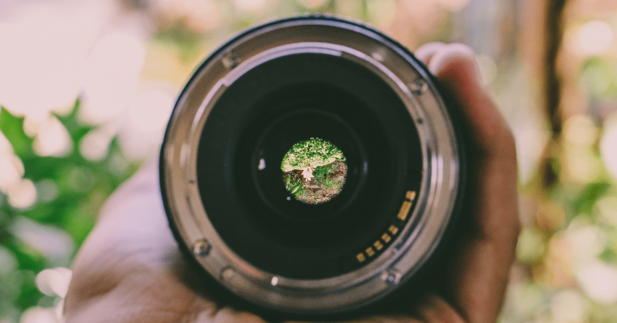 What Is the Magnification on a True Macro Lens? 2023 Buying Guide